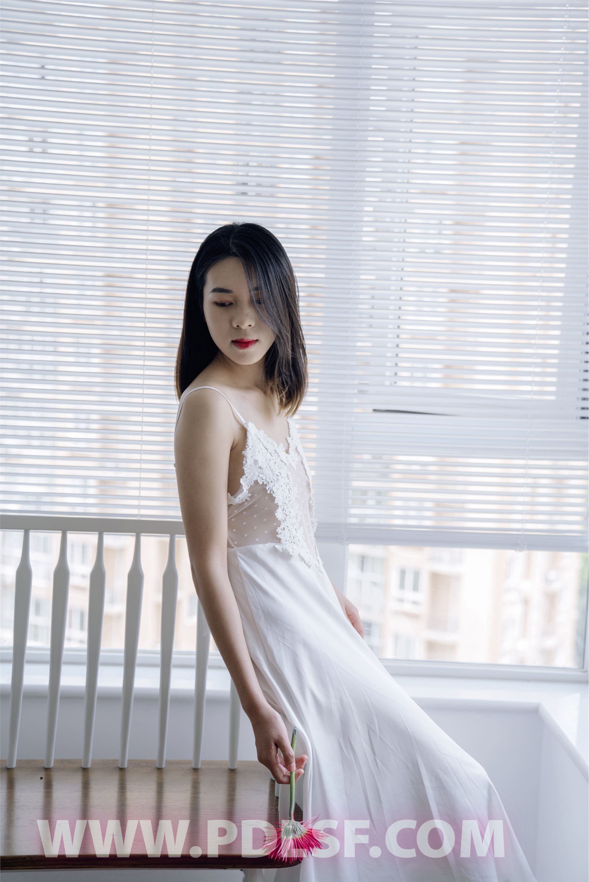 PDL潘多拉 2020.04.02 专辑No.284